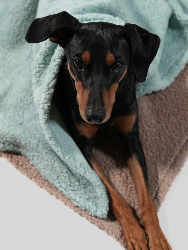 Weiche Kuscheldecke in Mint aus Teddyplüsch