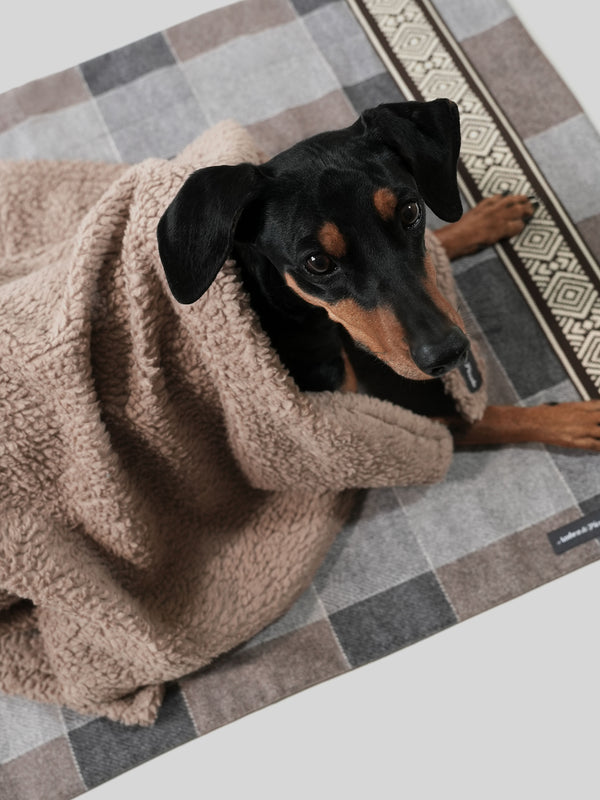 Hundedecke grau-braun kariert aus Möbelstoff mit breiter Ethno-Borte