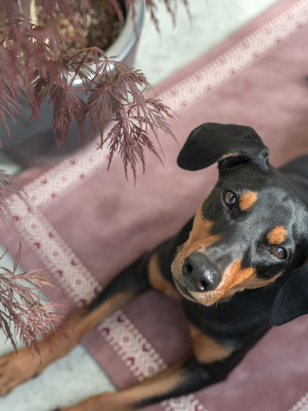 Hundedecke aus altrosa Cord & blauem Jeansstoff mit Ethno-Borte rundum