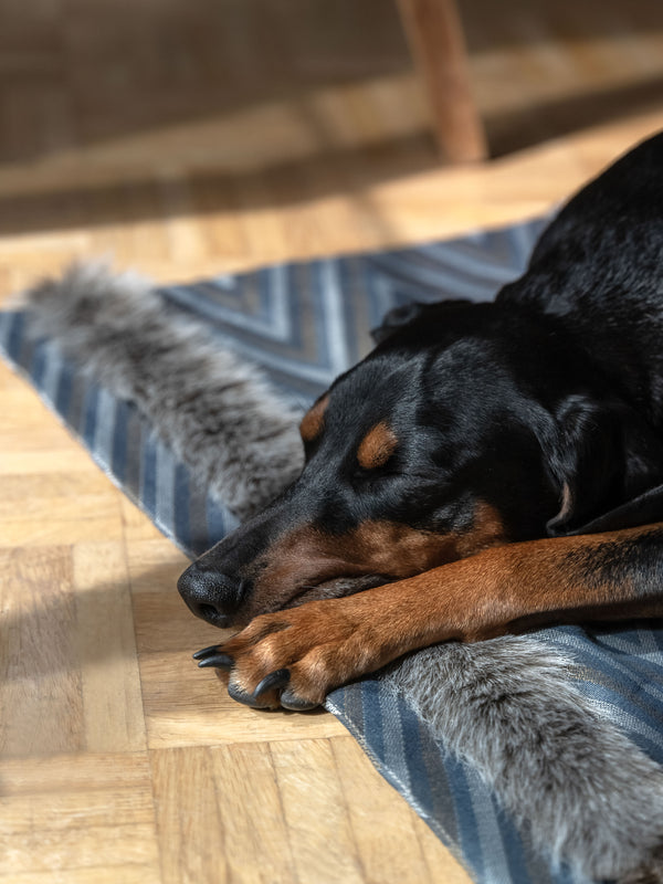 Hundedecke Blau-Beige mit Zickzack-Muster aus Outdoorstoff mit Fake Fur-Borte