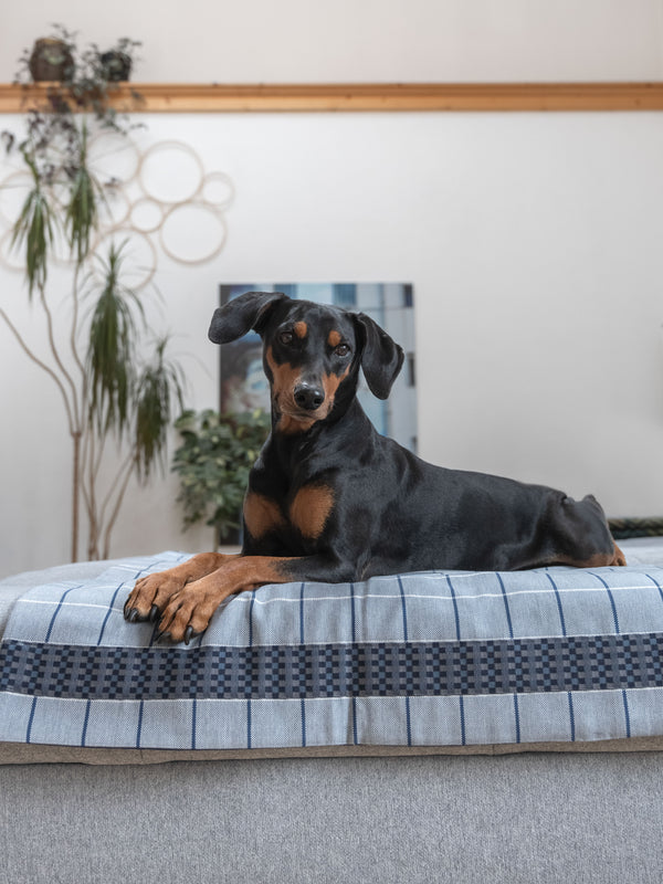 Hundedecke blau-weiß kariert aus Outdoorstoff mit Karo-Borte