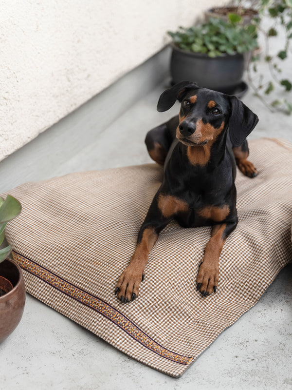 Hundedecke braun-weiß kariert aus Möbelstoff mit Ethno-Borte