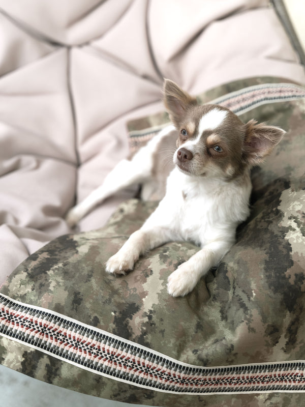 Hundedecke mit Camouflage-Muster aus Baumwolle & altrosa Cord mit Ethno-Borte
