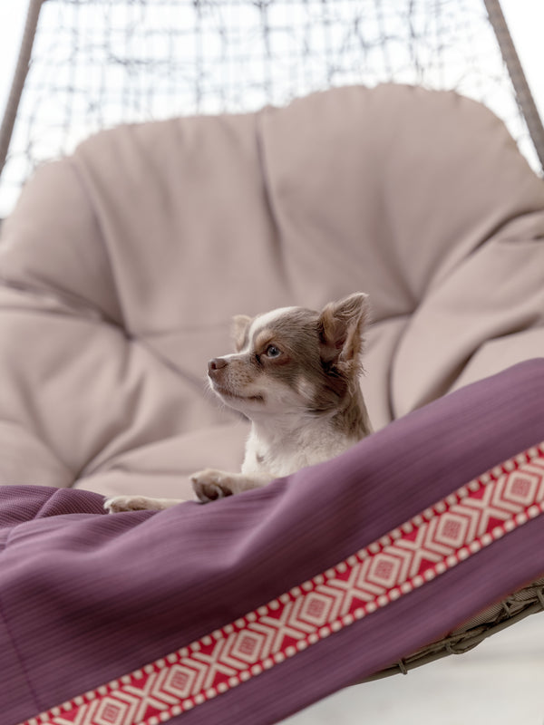 Hundedecke mit Grafik-Muster zum Wenden aus Outdoorstoof mit Ethno-Borte