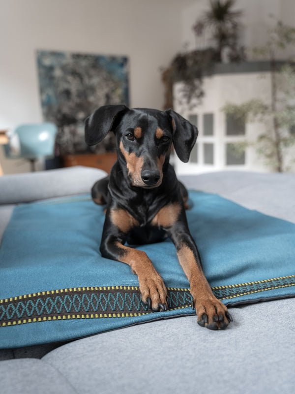 Hundedecke Türkis & Grau aus Möbelstoff mit Ethno-Borte